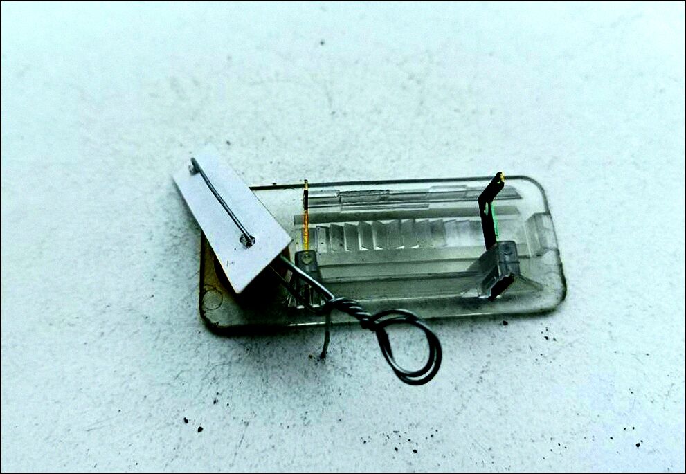 Подсветка номера 58488 - 55209550 | Фото#1 Подсветка номера 58488 - 55209550 | Фото#1