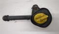 Горловина маслозаливная Renault Clio 2005-2009 - 20236491