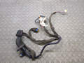 Электропроводка Renault Scenic 2 2003-2009 - 20244092