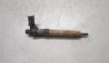 Форсунка топливная Citroen C-Crosser  - 20284339
