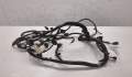 Электропроводка Land Rover Range Rover Sport 2005-2013 - 20287989