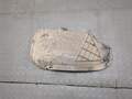 Защита арок (подкрылок) Opel Astra H 2004-2010 - 20292801