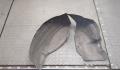 Защита арок (подкрылок) Mazda 3 (BL) 2009-2013 - 20303289