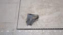 Жабо под дворники (дождевик) Opel Zafira B 2005-2014 - 20439939