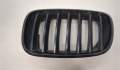 Решетка радиатора BMW X6 E71 2007-2014 - 20478940