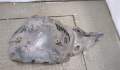 Защита арок (подкрылок) Mercedes CLS C219 2004-2010 - 20500309