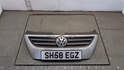 Решетка радиатора Volkswagen Passat CC 2008-2012 - 20500753