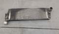 Радиатор интеркулера Renault Scenic 2 2003-2009 - 20555900