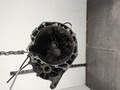 Кпп-5ст. (мкпп) Ford Focus 1 1998-2004 - 20662047 Кпп-5ст. (мкпп) Ford Focus 1 1998-2004 - 20662047