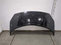 Капот Renault Scenic 2 2003-2009 - 20713206