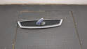 Решетка радиатора Ford Focus 2 2005-2008 - 20798245