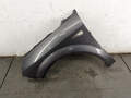 Крыло Renault Scenic 2 2003-2009 - 20810181