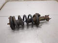Амортизатор подвески Infiniti QX56 2004-2010 - 20813787