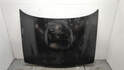 Капот Nissan Terrano 2 1993-2006 - 20849849