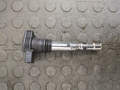 Катушка зажигания Audi A4 (B6) 2000-2006 - 20882375