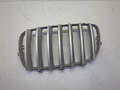 Решетка радиатора BMW X5 E70 2006-2013 - 20925343