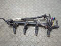 Форсунка топливная Rover 25 2000-2005 - 20925800