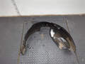Защита арок (подкрылок) Opel Vectra C 2002-2008 - 20949868
