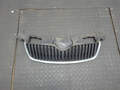 Решетка радиатора Skoda Fabia 2007-2014 - 20959592