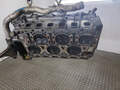 Головка блока цилиндрорв Audi A8 (D3) 2002-2010 - 21006704