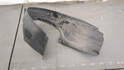 Защита арок (подкрылок) Dodge Caliber 2006-2013 - 21009814