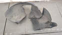 Защита арок (подкрылок) Volkswagen Golf 6 2008-2012 - 21010211