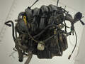 Двигатель Ford Fiesta 5 2001-2007 - 21048363
