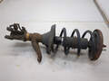 Амортизатор подвески Honda Element 2002-2011 - 21048564