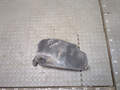 Защита арок (подкрылок) Opel Astra G 1998-2005 - 21052315