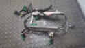 Форсунка топливная Land Rover Discovery 2 1998-2004 - 21053286