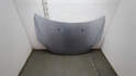 Капот Ford Focus 2 2005-2008 - 21062414