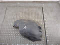 Защита арок (подкрылок) Opel Astra H 2004-2010 - 21063902
