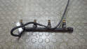 Форсунка топливная Renault Scenic 1 1996-2002 - 21066806