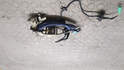 Ручка двери наружная Bentley Continental GT 2003-2011 - 21068106
