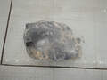 Защита арок (подкрылок) Opel Astra H 2004-2010 - 21073436