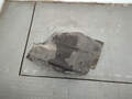 Защита арок (подкрылок) Renault Scenic 3 2009-2012 - 21073594