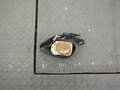 Ремень безопасности Honda Civic 2000-2006 - 21091521