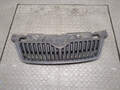 Решетка радиатора Skoda Fabia 2007-2014 - 21093971