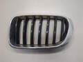 Решетка радиатора BMW X3 F25 2010-2017 - 21095626