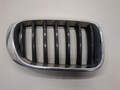 Решетка радиатора BMW X3 F25 2010-2017 - 21095631