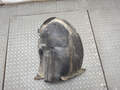 Защита арок (подкрылок) Peugeot 406 2 1999-2004 - 21116501