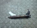 Форсунка топливная BMW X5 E70 2006-2013 - 21124953