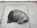 Защита арок (подкрылок) Opel Astra G 1998-2005 - 21141078