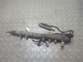 Рампа (рейка) топливная Opel Corsa C 2000-2006 - 21142460
