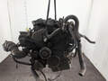 Двигатель Ford Transit 2006-2014 - 21142952