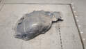 Защита арок (подкрылок) Opel Zafira B 2005-2014 - 21146327
