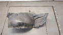 Защита арок (подкрылок) Skoda Fabia 2007-2014 - 21162654