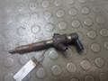 Форсунка топливная Ford Focus 2 2005-2008 - 21190117