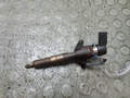 Форсунка топливная Ford Transit (Tourneo) Connect 2002-2013 - 21231329