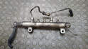 Рампа (рейка) топливная Nissan Navara 2004-2015 - 21247915